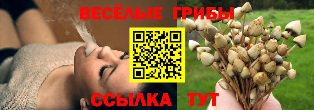 Галлюциногенные грибы мицелий  Вход с VPN  Чусовой 