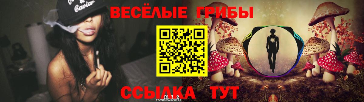 Галлюциногенные грибы Psilocybine cubensis Чусовой